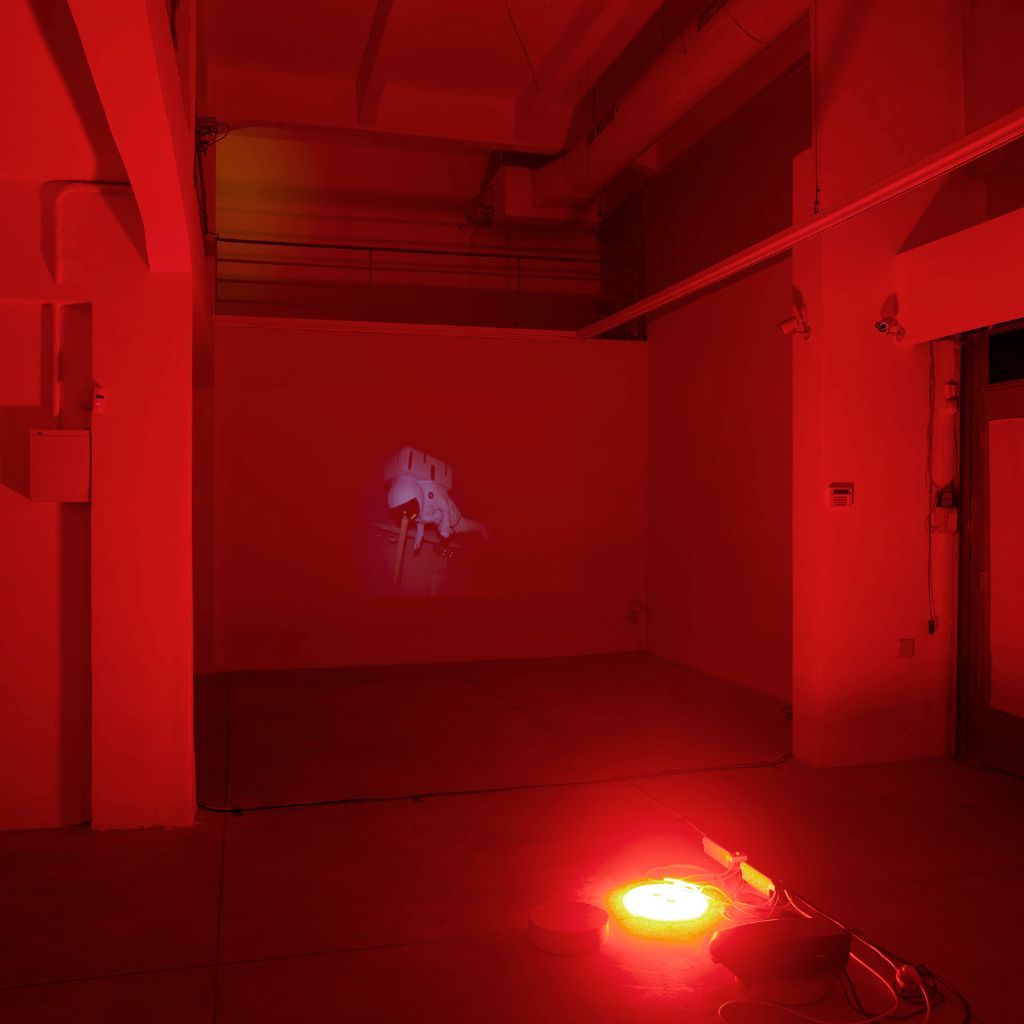 tropic of pulse Installation view