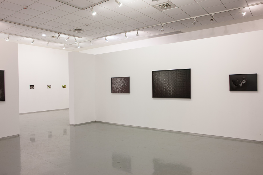 Last Light, installation view, The Open Musuem of Photography Tel Hai Industrial Park, 2015- 2016