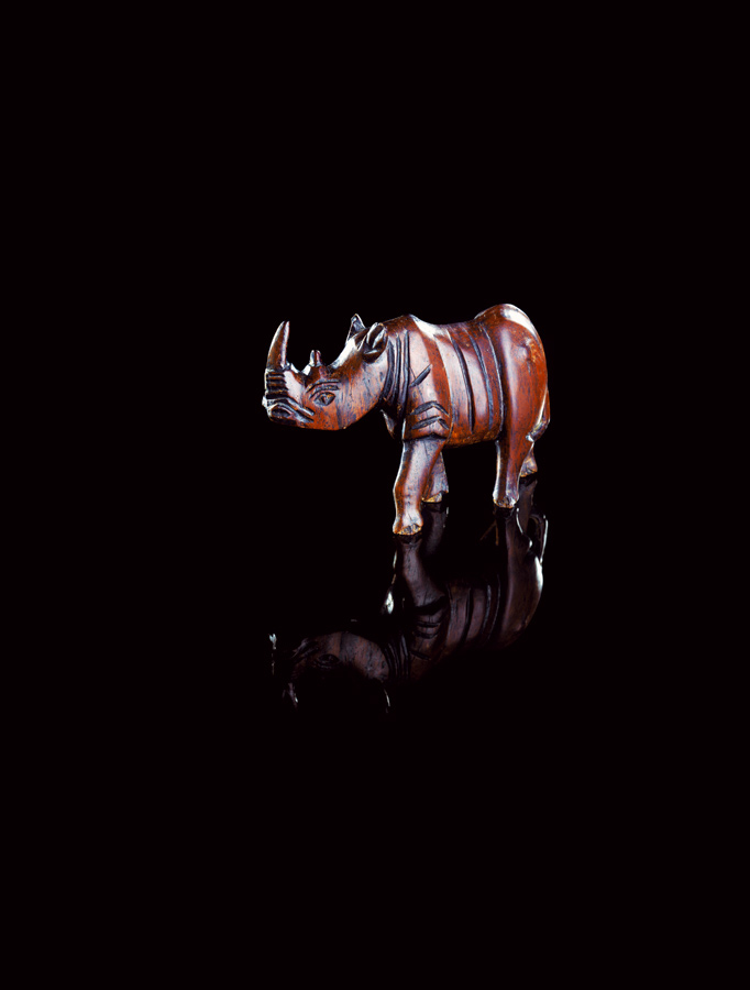 Mahogany, 2003, (Rhino Right), 125 x 165 cm