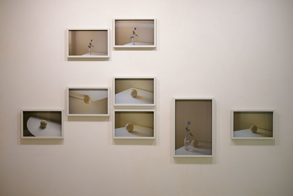 Table Studies, Installation View, Bologna MUSEI, Casa Morandi, 2016