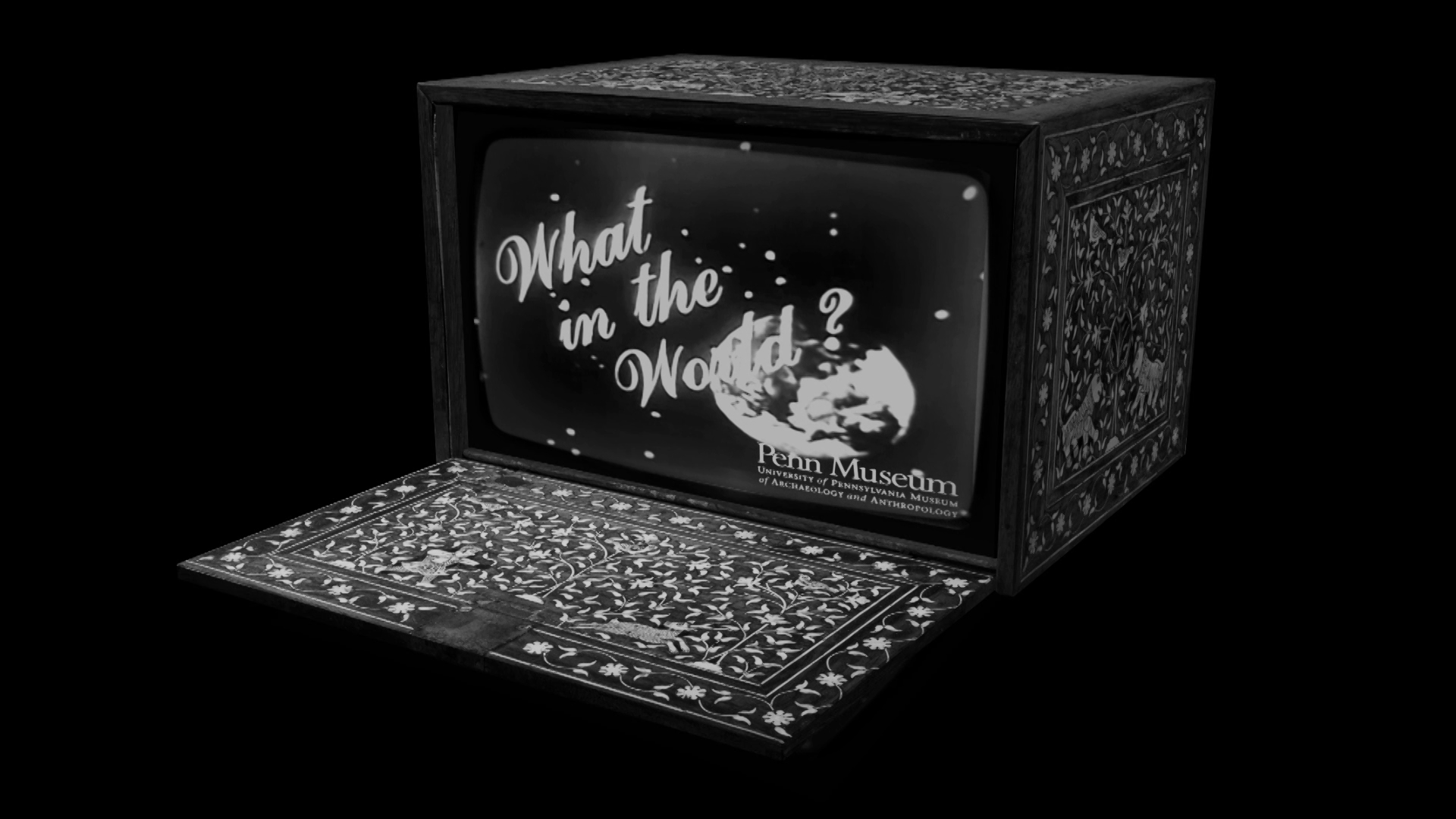 "What in the World" (video still)
2013,
single-channel HD video &  animation, 
black and white, 
stereo sound,
duration 5:30 min,
dimensions variable