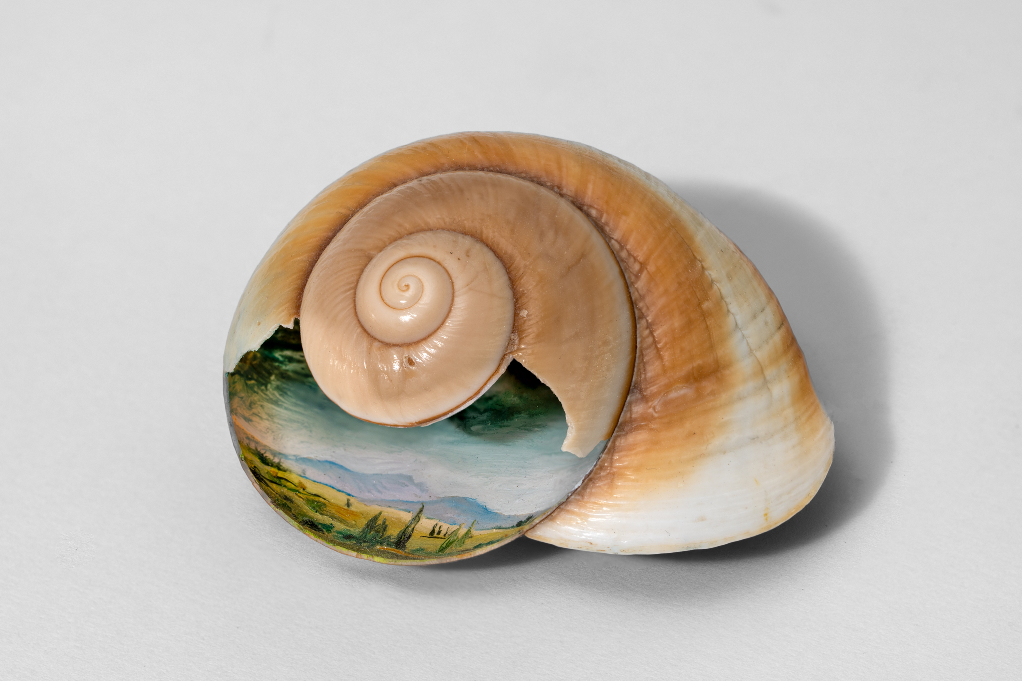 Elena Ceretti Stein, The Shell, 2022, Oil painting on shell, 9 x 7 x 4 cm. Photo by Daniel Hanoch