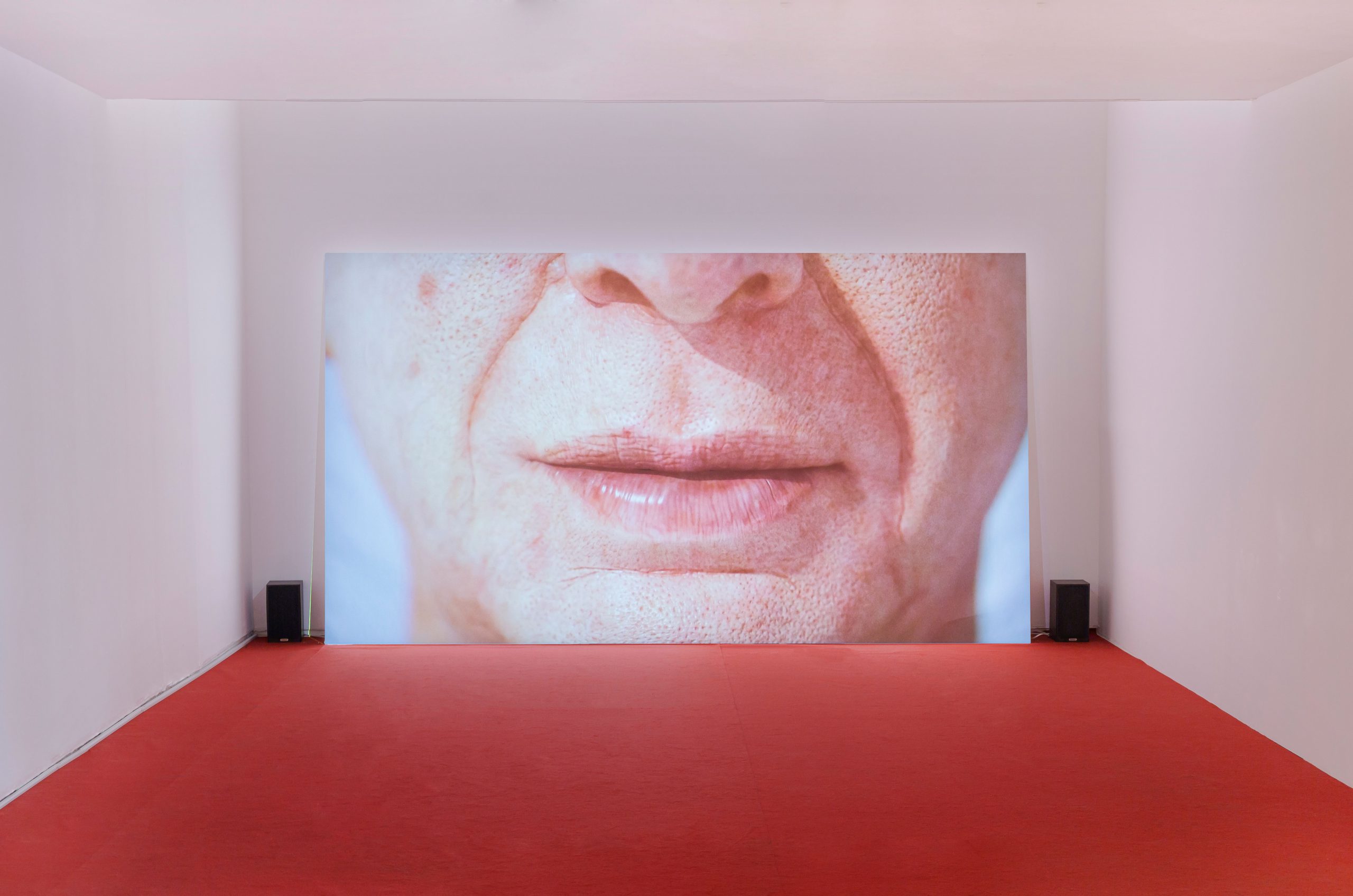 “Ruth Patir: My Father in the Cloud,” 2022, View of the exhibition at CCA Tel Aviv-Yafo. Photo: Eyal Agivayev
